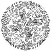 coloriage mandala sapin de noel